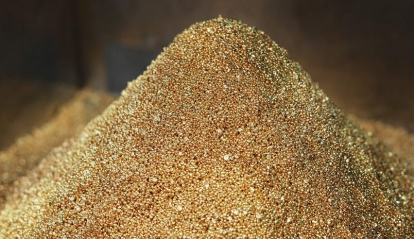 Zbulohet në Turqi depozita e arit me vlerë 1 7 mld dollarë