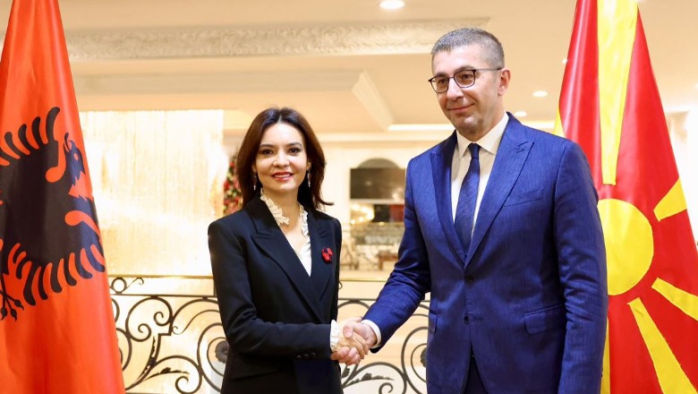 Spiropali takohet me Mickoskin  Faktori shqiptar në Maqedoni komunitet shtetformues  nxitës i rëndësishëm i proceseve eurointegruese