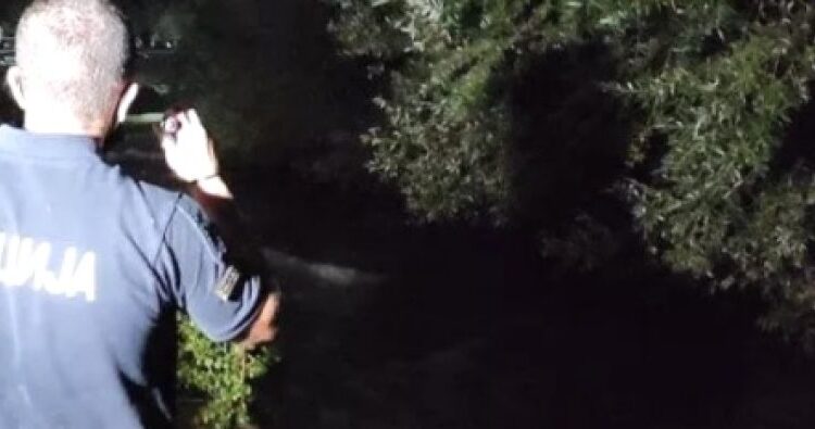 MPB me detaje të reja për tragjedinë me dy viktima  Viktimat janë nga Vidusha e Gostivarit