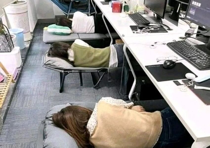 Vendi ku njerëzit flenë në punë dhe askush nuk ankohet