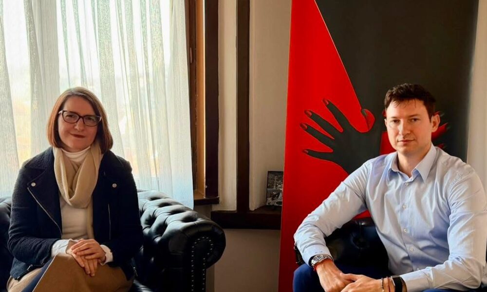 Ambasadori Meidani takon aktivisten Nikica Korubin  E vlerësoj kritikën e saj ndaj zhvillimeve politike